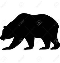 gocanes4753's profile picture. 