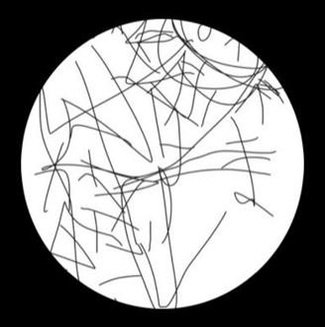 HockeyBurke's profile picture. 