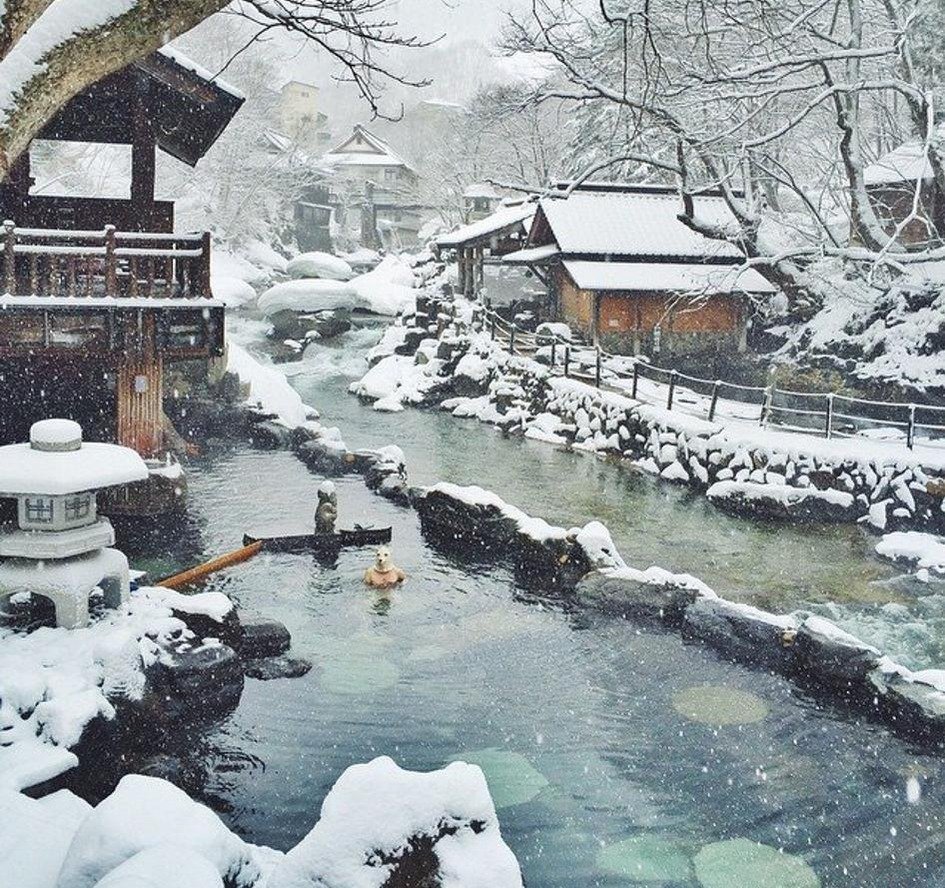 Ironcat5034's profile picture. 