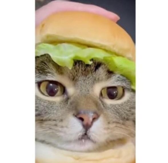 jakeyboygoddard's profile picture. 