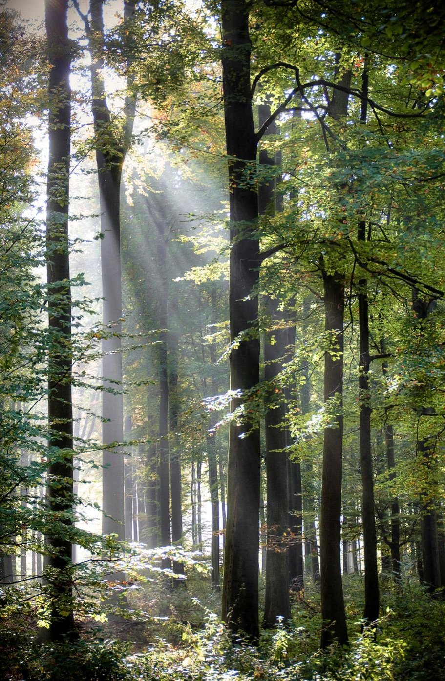 joseroberto02's profile picture. 