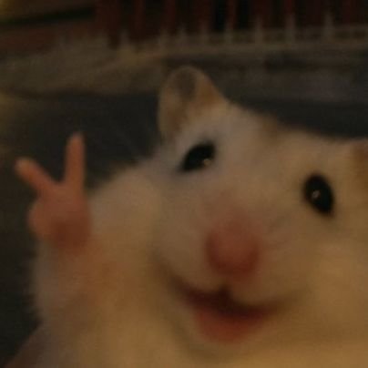 mariul01's profile picture. 