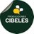 Pepeflorescab's profile image