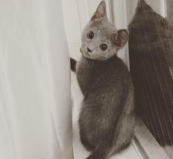 mckaygirl's profile picture. 