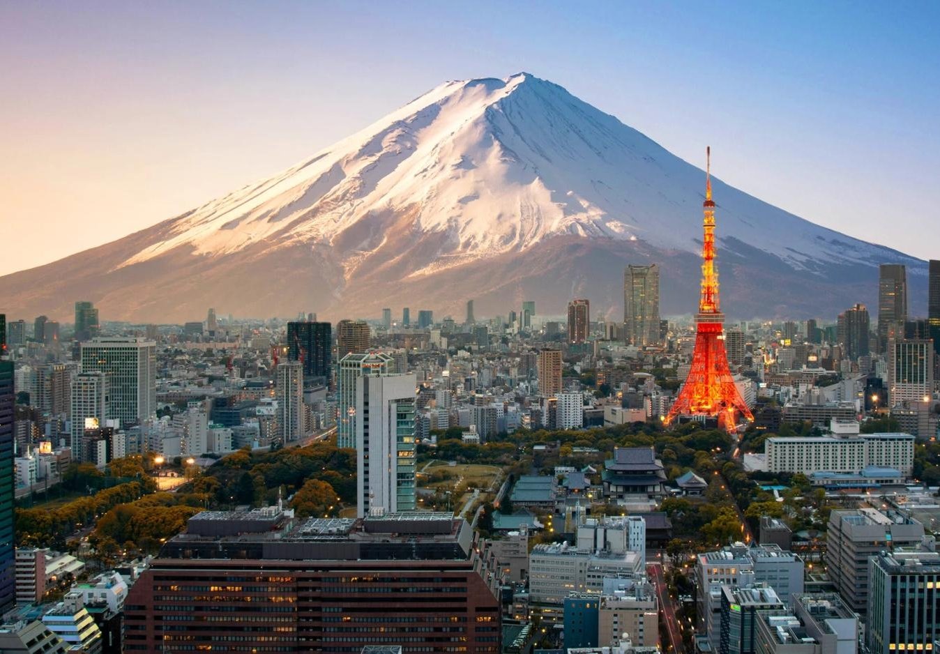 Michael_Paz's profile picture. 