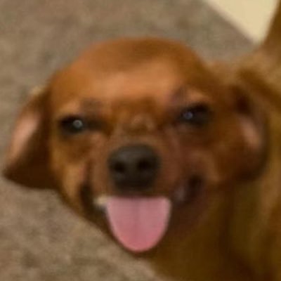 ZeeshanHuz's profile picture. 