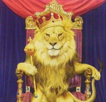 rikn666's profile picture. 