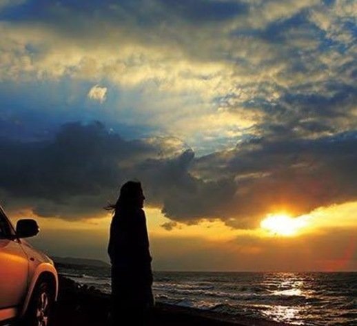 Shamrockxx's profile picture. 