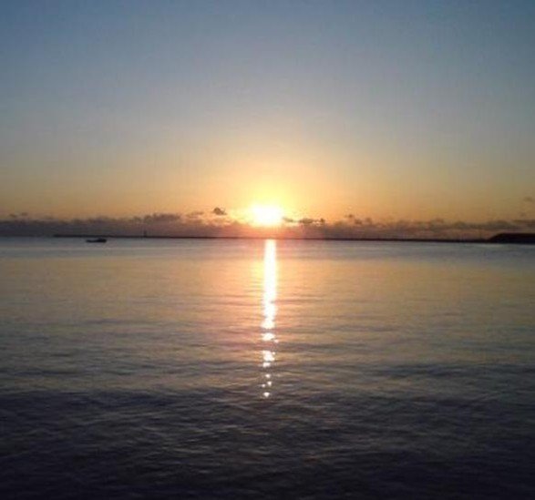 Skeletoro's profile picture. 