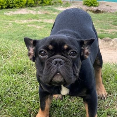 NatashaK9191130's profile picture. 