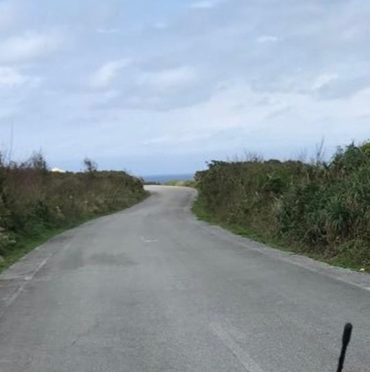 xxPeTtYGurL34xx's profile picture. 