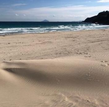 zoeys_mama's profile picture. 