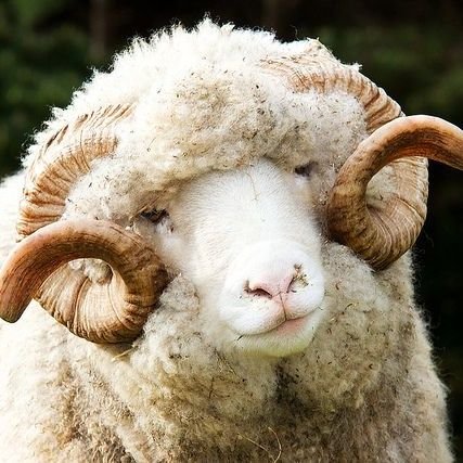 Pat0daniel31's profile picture. Eu vou falar tudo que eu quero
ou talvez não.