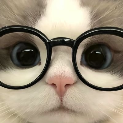 Darknessihm's profile picture. I hate lies