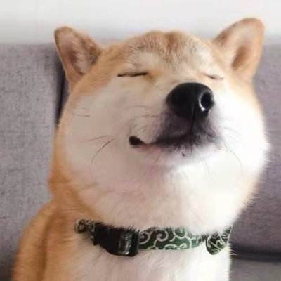 MiXiaoYu_Lv's profile picture. 之前账号消除了 待观察