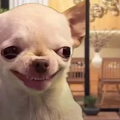 PersitaRoux's profile picture. 🤘