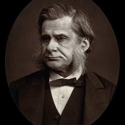 Huxleyth1's profile picture. Don't bother following me if you're a Christian, fake young lady with no posts, lottery winner, bitcoin twit, or Musk clone.