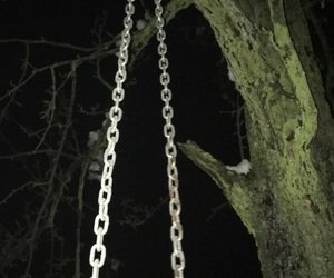 Krishnakr22's profile picture. I might have been born just plain white trash