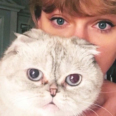 lui_vv's profile picture. 