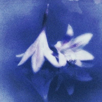 wtshtant's profile picture. forSsSSssssaaaALLllllleeee3eE