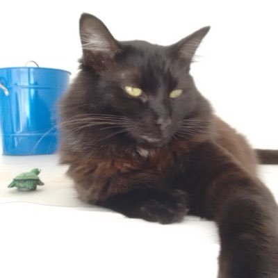 none_none45578's profile picture. 