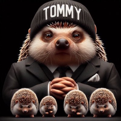 FloridaCaver's profile picture. Satire, Parody. -educational, historical, religious, or artistic Original Content, there's no intent to promote hate with the Al images used- Have a nice day 😎