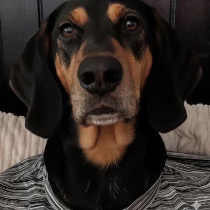 pricey666_'s profile picture. just one of them 🙃