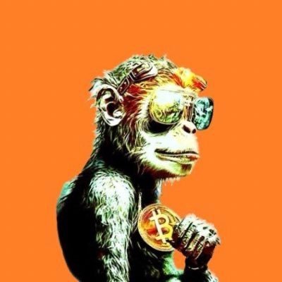 TheApeBitcoiner's profile picture. 