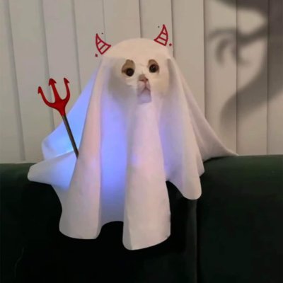 Summaru_'s profile picture. 