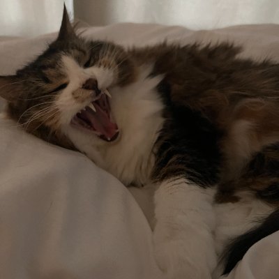 BSPK_'s profile picture. 전자전기공학 박사, AI 연구자를 거쳐 전략기획 업무를 합니다.
기술의 발전이 가져올 세상의 변화를 먼저 포착하고 전달하고자 합니다.