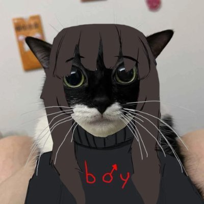 alisafanboy's profile picture. zionistic transgendeist, fagslop enjoyer, Israeli coal mine,
hrt since 2.9.2024,
alt: @AlisaFanGi86111 private(sfw, mainly selfies and vent posts): @priv_fan