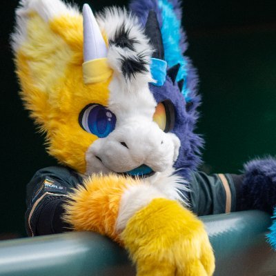 Piccolo 🔜 Furrymosa2026