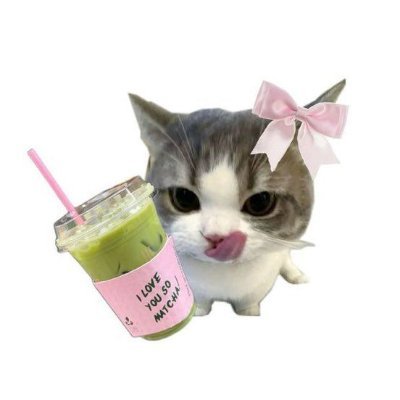 mcancing's profile picture. bussiness account