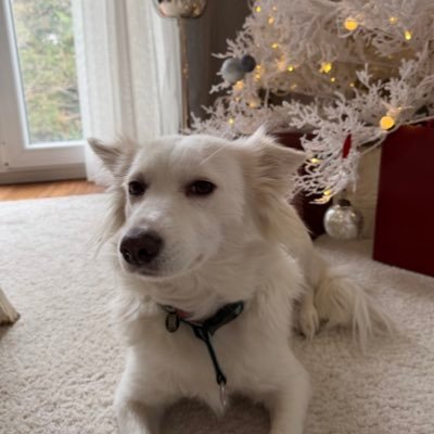 sbldmrc's profile picture. Sanat Tarihçisi Arkeolog