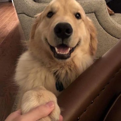 Weinburght's profile picture. 