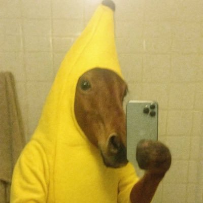 Stellarhasbag's profile picture. 