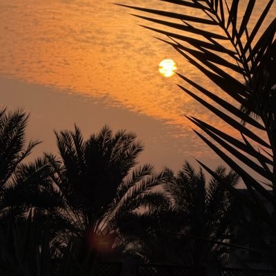 Reina_Nader's profile picture. 