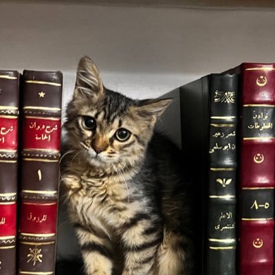 zi9aia's profile picture. اللَّهُمَّ أرحمني بالقرآن وأجعله نورًا لِي فِي قَبري وشفيعًا لي