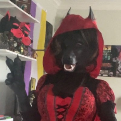 DracktheDoggo's profile picture. Big Squeaky Pawed Rubber Wolf 
Known for my big rubber feet
26
18+ Minors DNI🔞