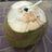 go_hideki_ja
