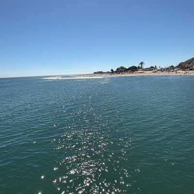 coby25337599's profile picture. 