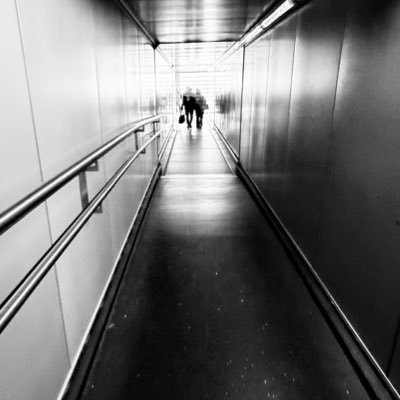 Su73669564's profile picture. flying mother ❤️my husband, my kids, my cat, photography,Tesla, Elon, Spacex, flying, travelling, gardening, knitting, quilting and 𝕏!