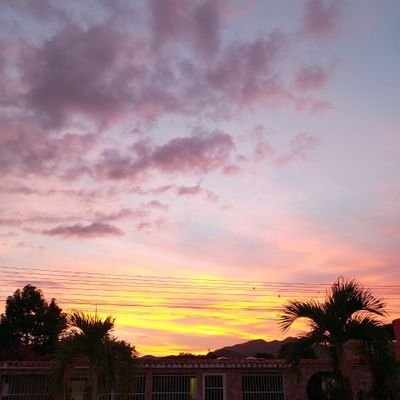 TranquiniJose's profile picture. Padre de Stefano Andrés, Bianca Patricia y Mariana Grazzia, abuelo de Martina y Lilian. Abogado de Valle de la Pascua, Guárico, Venezuela. Celular 04141323161
