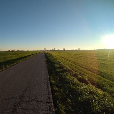 FGyldenfeldt's profile picture. Visual Artist/Photographer