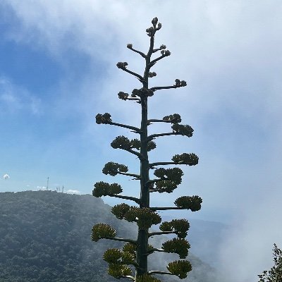 indivisible_GA7's profile picture. We are a group of patriots and concerned Georgians from the 7th Congressional district. We want to resist the Trump and the GOP's agenda.