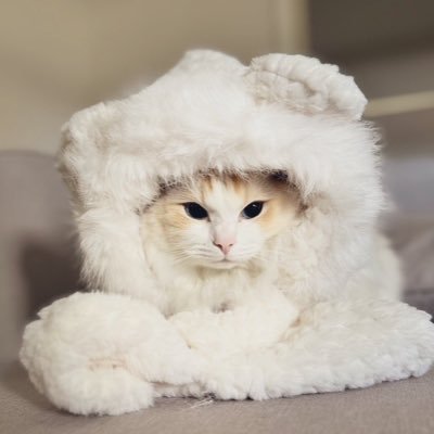 Kyoho_Grapes's profile picture. 🐱🐶と自由にくらしてる / #dbd 基本ずーっと爆笑してる、このゲーム楽しい / #ラテール 低浮上中 / 💚ྀི相棒@greenmen3333 / 💗🍭嫁 @ghostfaceyui