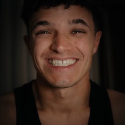 skyfishsushi's profile picture. 4552312 | lando norris 2025 world champion!