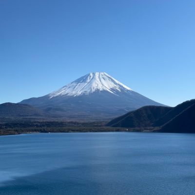 reptilesSUKI's profile picture. 