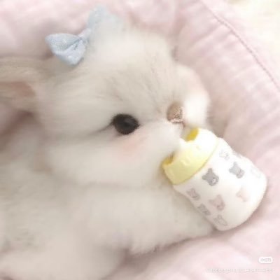 kanomzq's profile picture. ꪆৎ ﾟ🎀@bts_bighit #rvkanom ⭐️୨୧