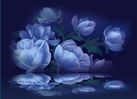 NurseIII's profile picture. 